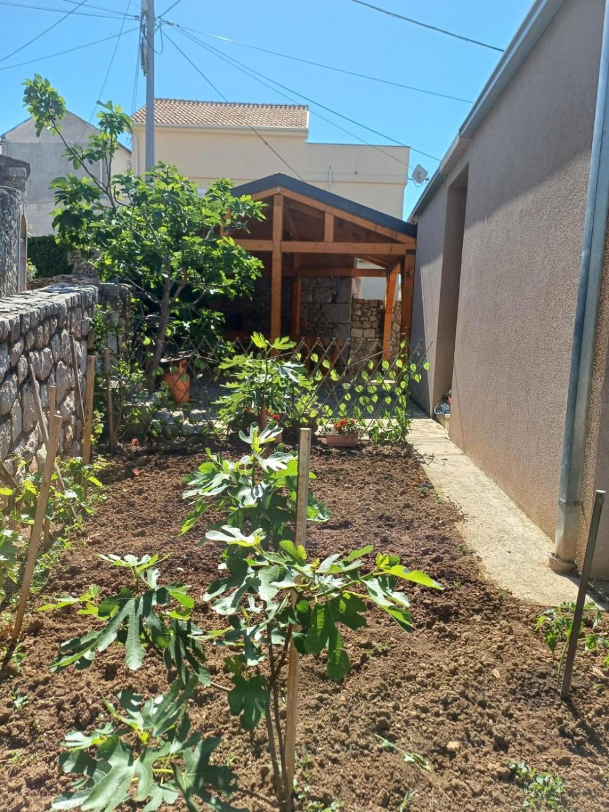Apartmani Afrodita Crikvenica Bagian luar foto