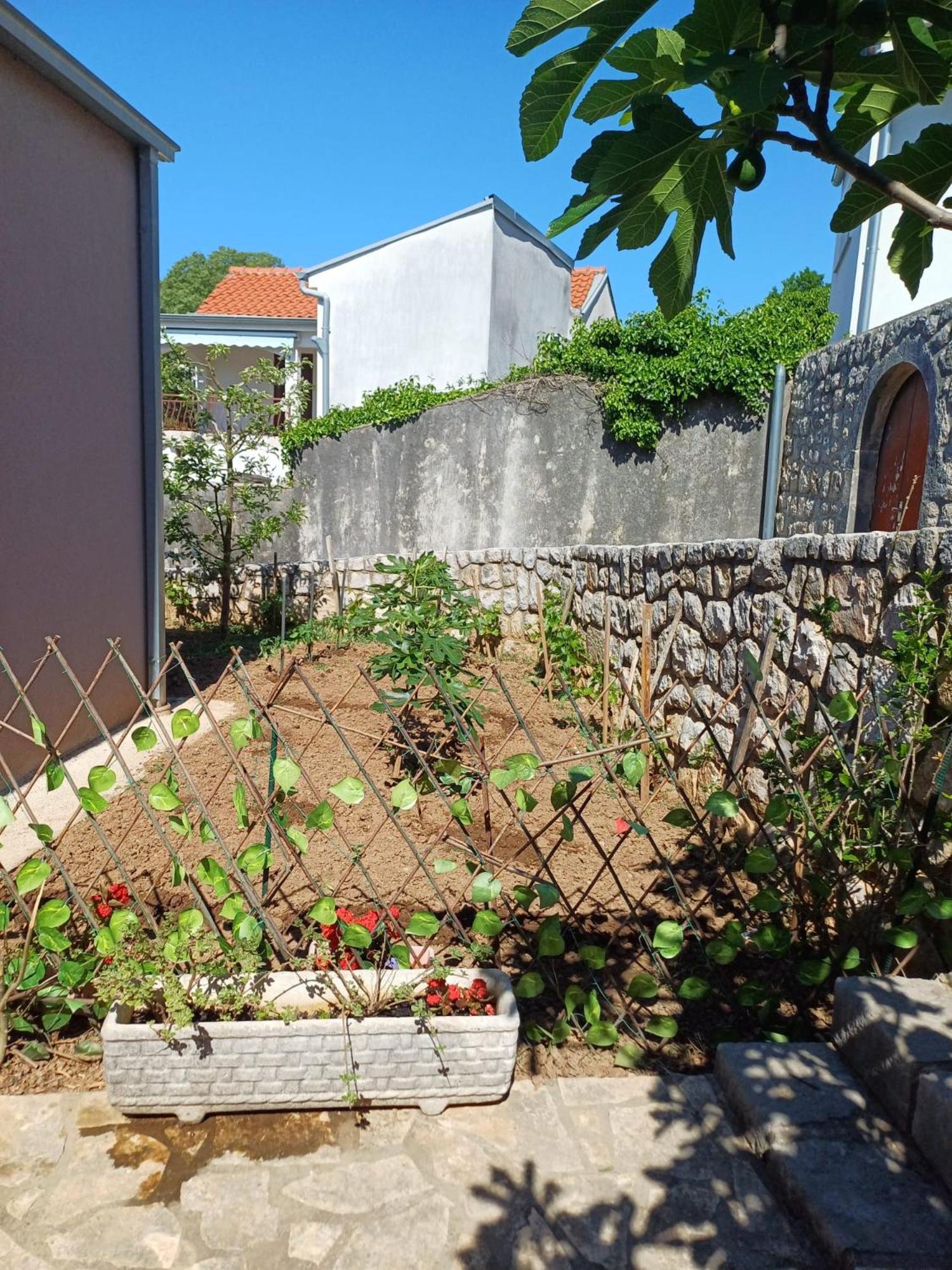 Apartmani Afrodita Crikvenica Bagian luar foto